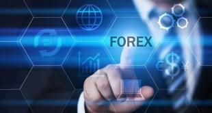 Forex Firması Nasıl Seçilir